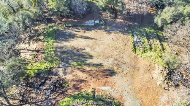 a backyard of a house with a yard and large tree