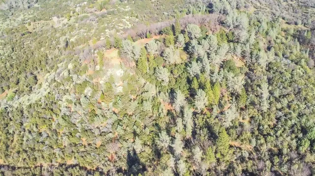 a view of outdoor space and a yard