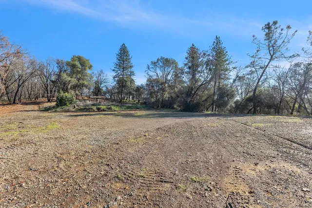a view of dirt field with trees in background