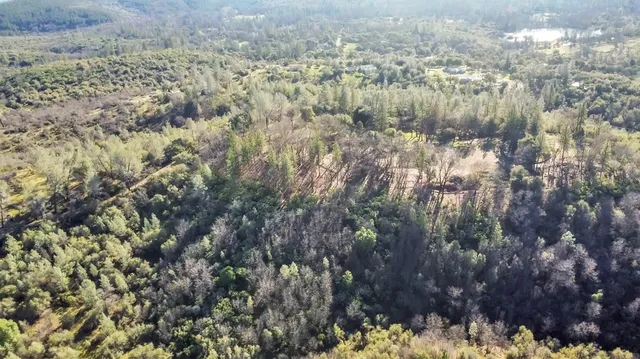 a view of mountain with trees
