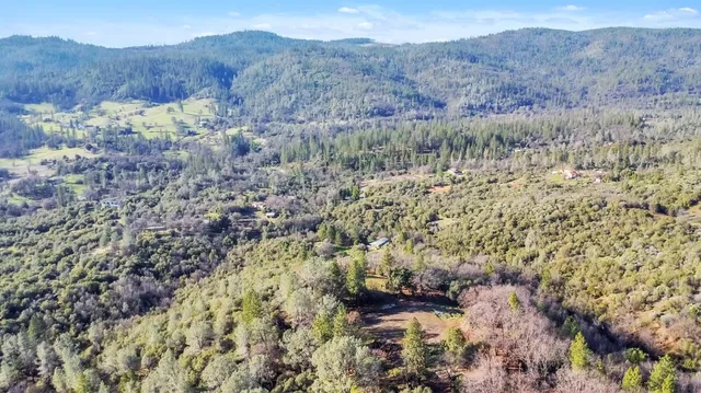 a backyard of a house with lots of trees