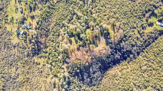 a view of outdoor space with trees