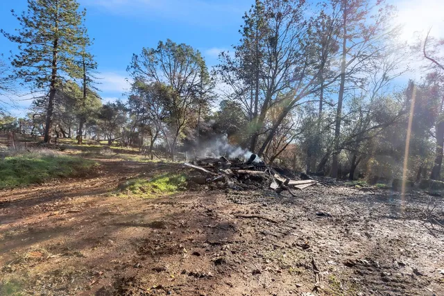 a view of dirt yard with a large tree