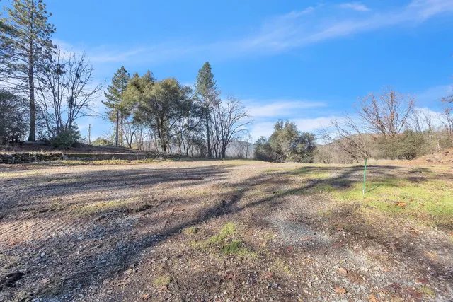 a view of road view with large trees