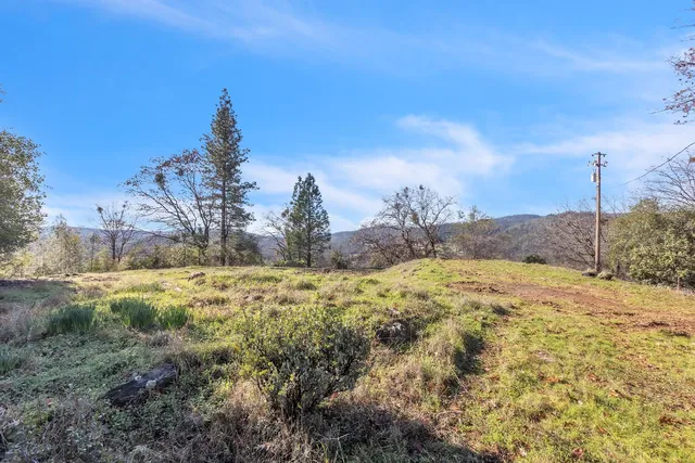 a view of a yard with a tree