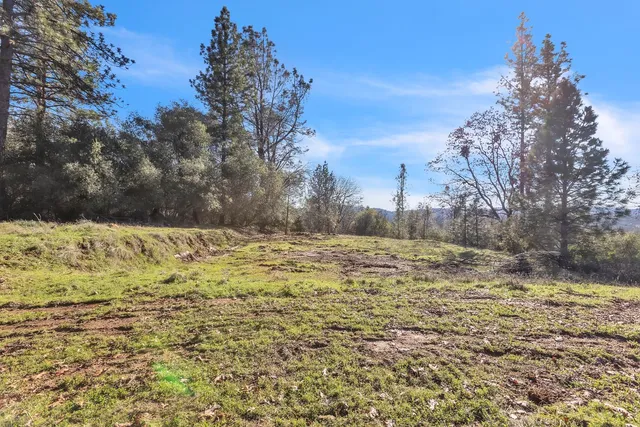 a backyard of a house with large trees