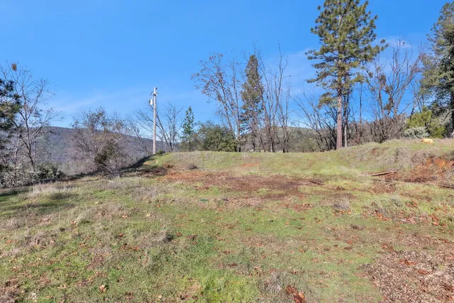 a view of empty space with trees