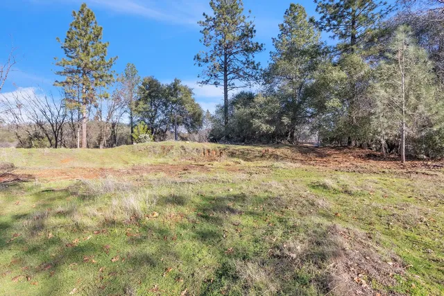 a view of a backyard with a trees