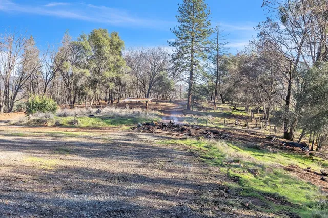 a view of a backyard with large trees
