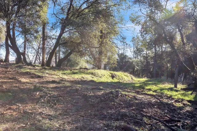 a backyard of a house with lots of green space