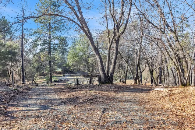 a view of outdoor space with garden