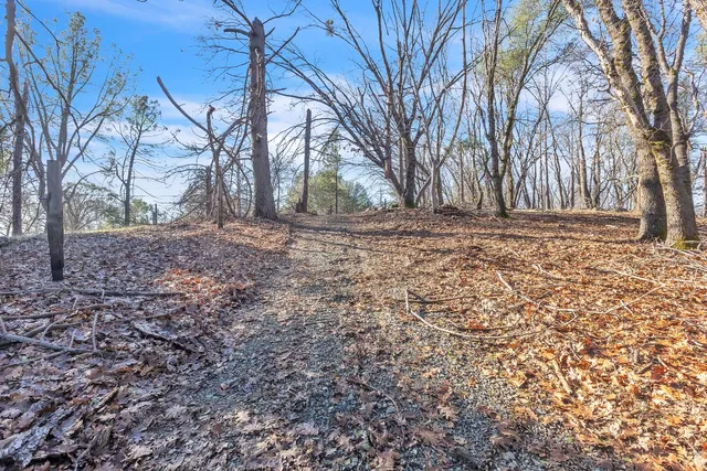 $250,000 | 14776 La Place Lane, Brownsville, CA 95919