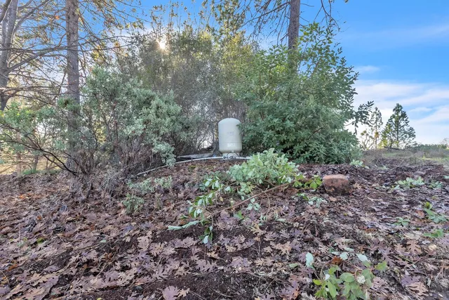 a view of a forest with a house and a forest