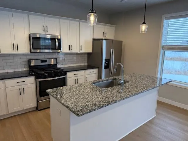 $3,142 | 11341 51st Street Northeast, Albertville, MN 55301