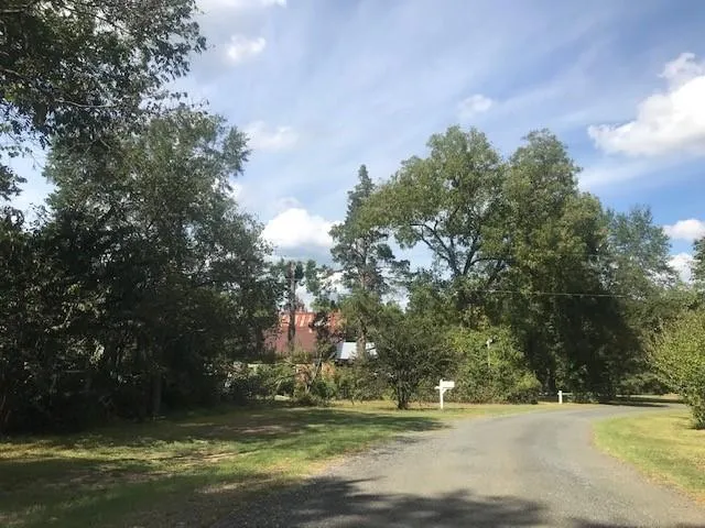 a view of swimming pool with a yard and trees in the background