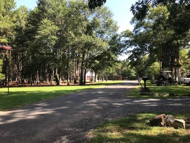 a big yard with trees