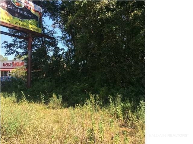 St Stephens Road Mobile, AL 36612 - Photo 2 of 3 View of local wilderness