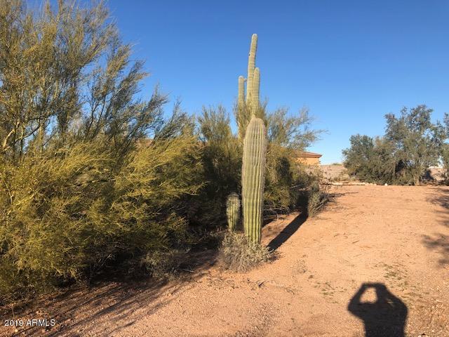 1815 North Bowman Road Apache Junction, AZ 85119 - Photo 2 of 5 bowman 2 IMG_4979 (1)