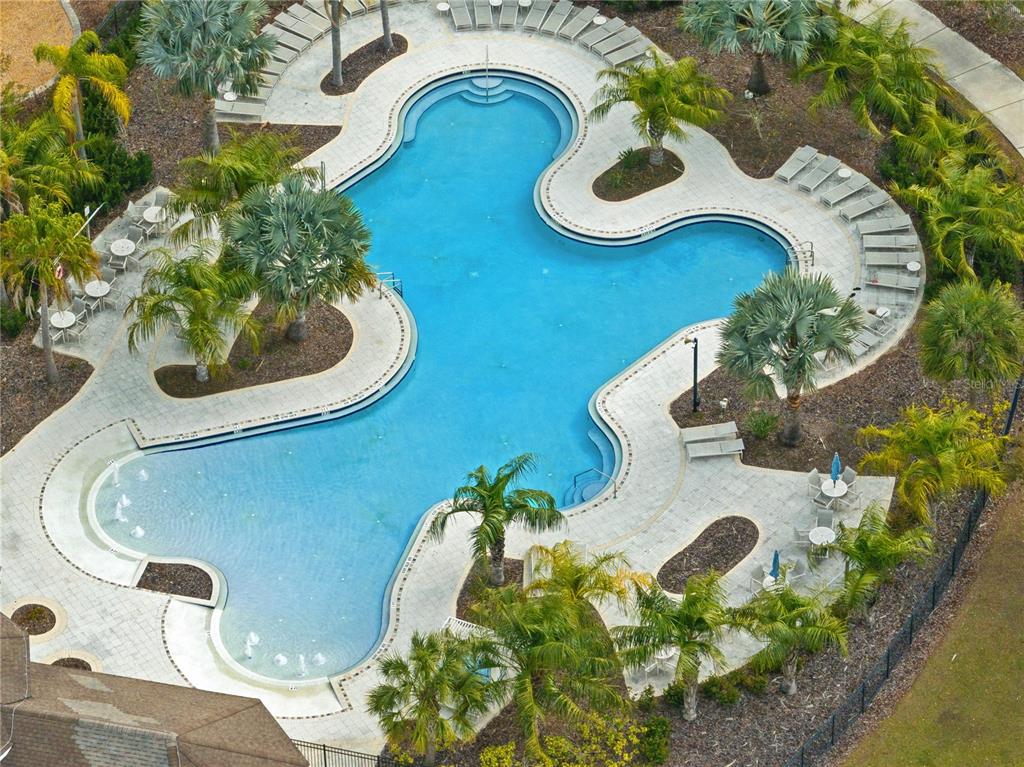 9313 Lemon Drop Loop Ruskin, FL 33573 - Photo 26 of 29 a vase of flowers sitting on a table