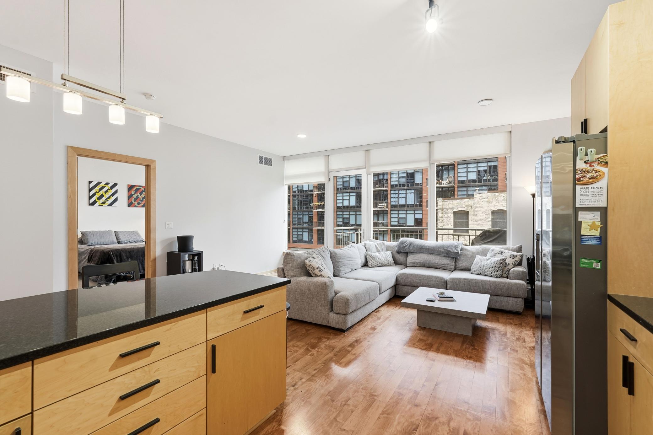 215 10th Avenue South, Unit 333 Minneapolis, MN 55415 - Photo 11 of 62