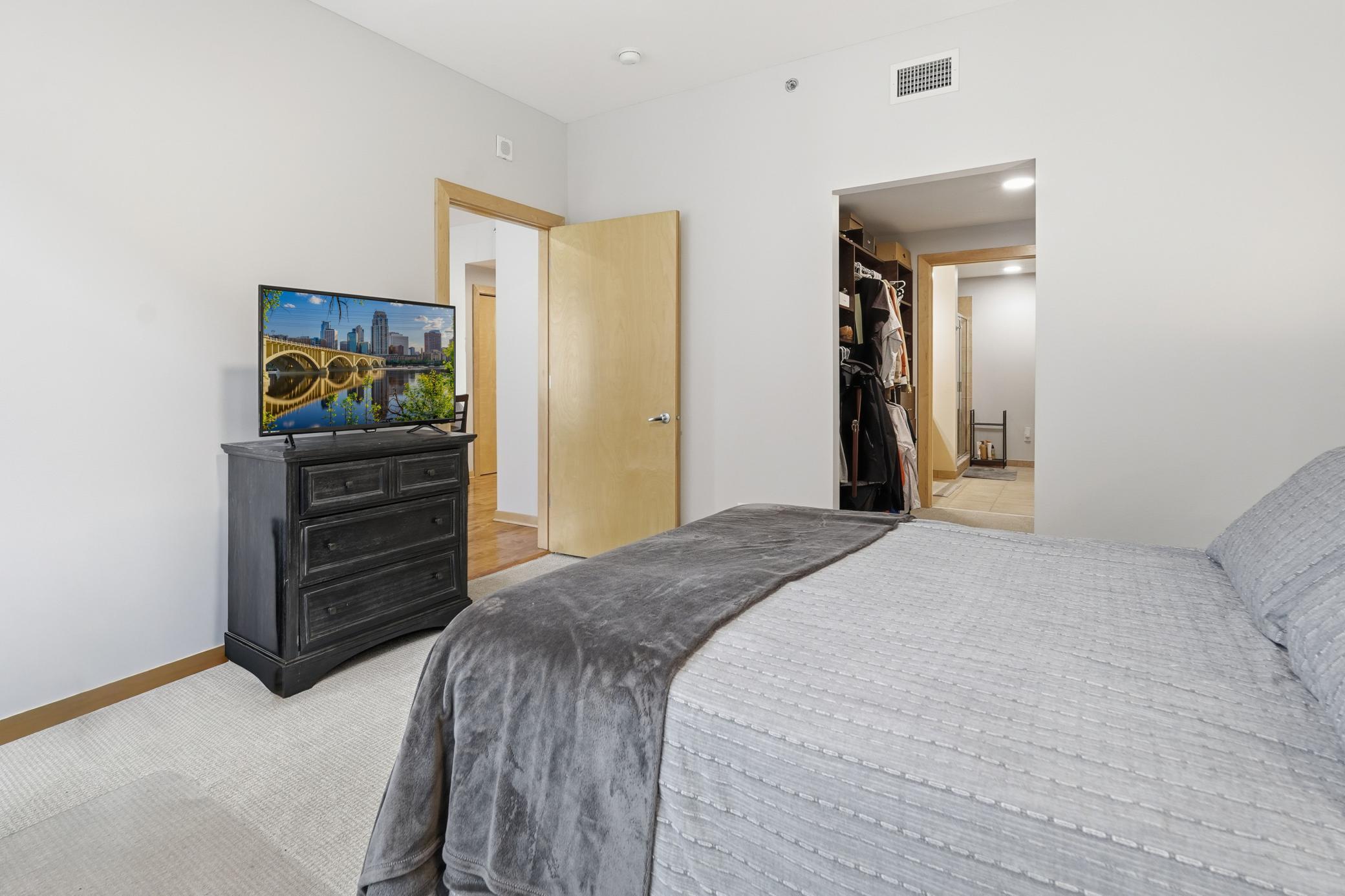 215 10th Avenue South, Unit 333 Minneapolis, MN 55415 - Photo 16 of 62