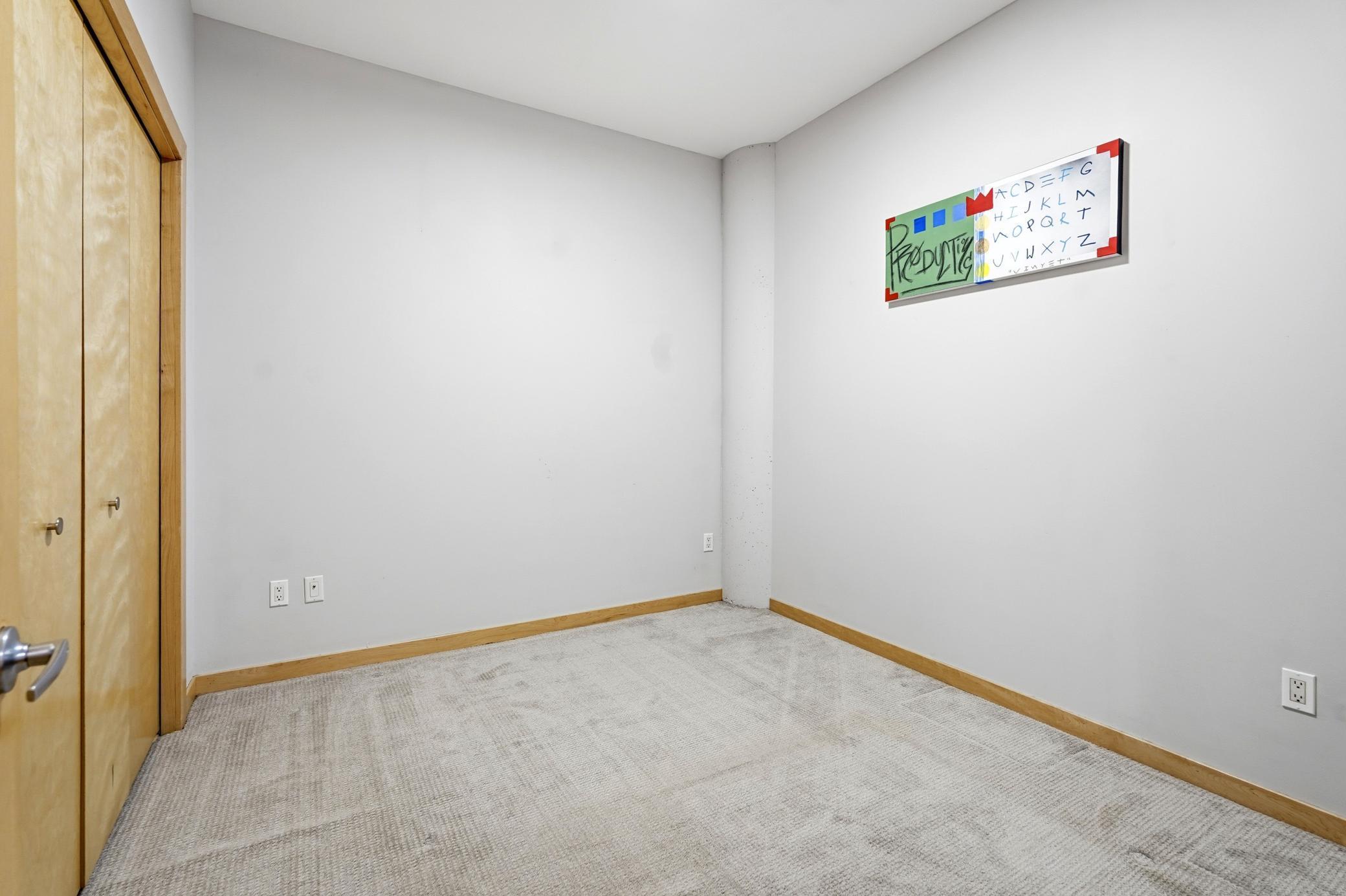 215 10th Avenue South, Unit 333 Minneapolis, MN 55415 - Photo 23 of 62