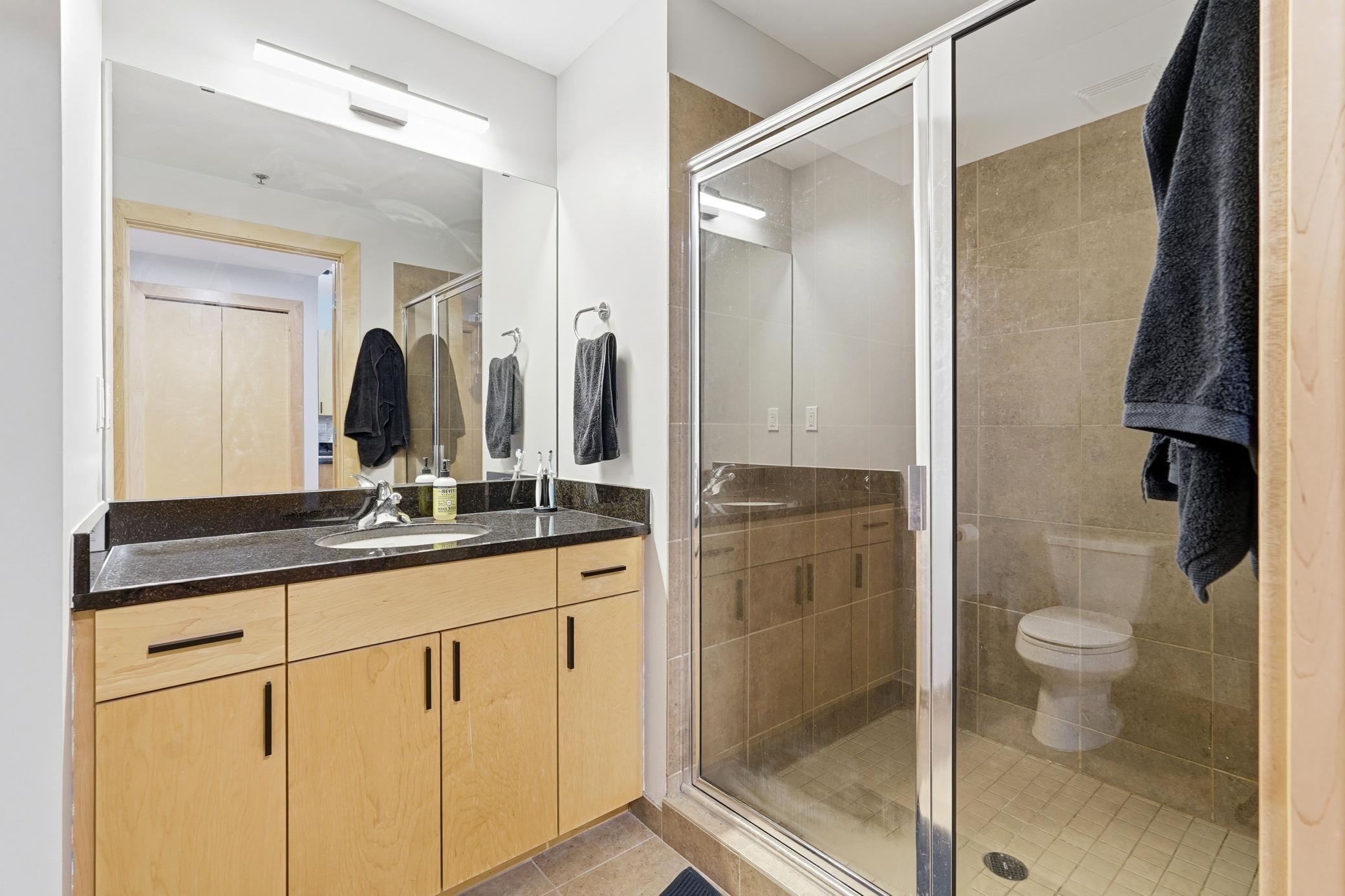 215 10th Avenue South, Unit 333 Minneapolis, MN 55415 - Photo 26 of 62