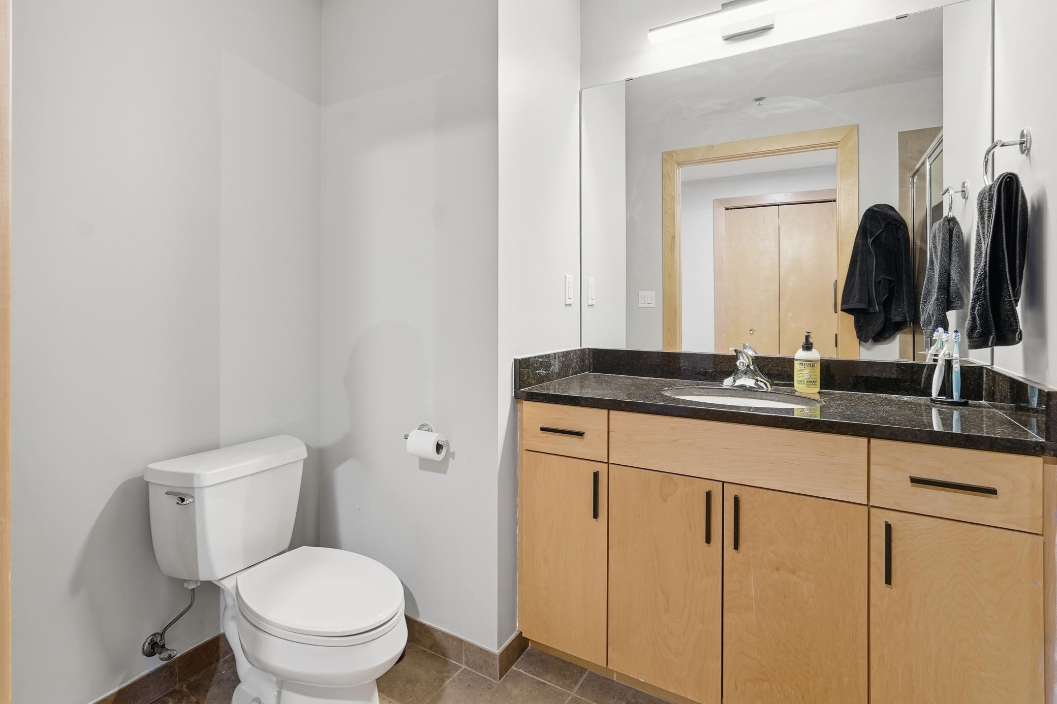 215 10th Avenue South, Unit 333 Minneapolis, MN 55415 - Photo 27 of 62