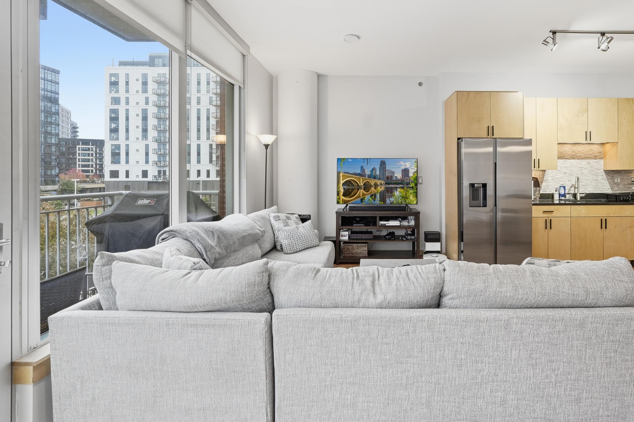 215 10th Avenue South, Unit 333 Minneapolis, MN 55415 - Photo 4 of 62