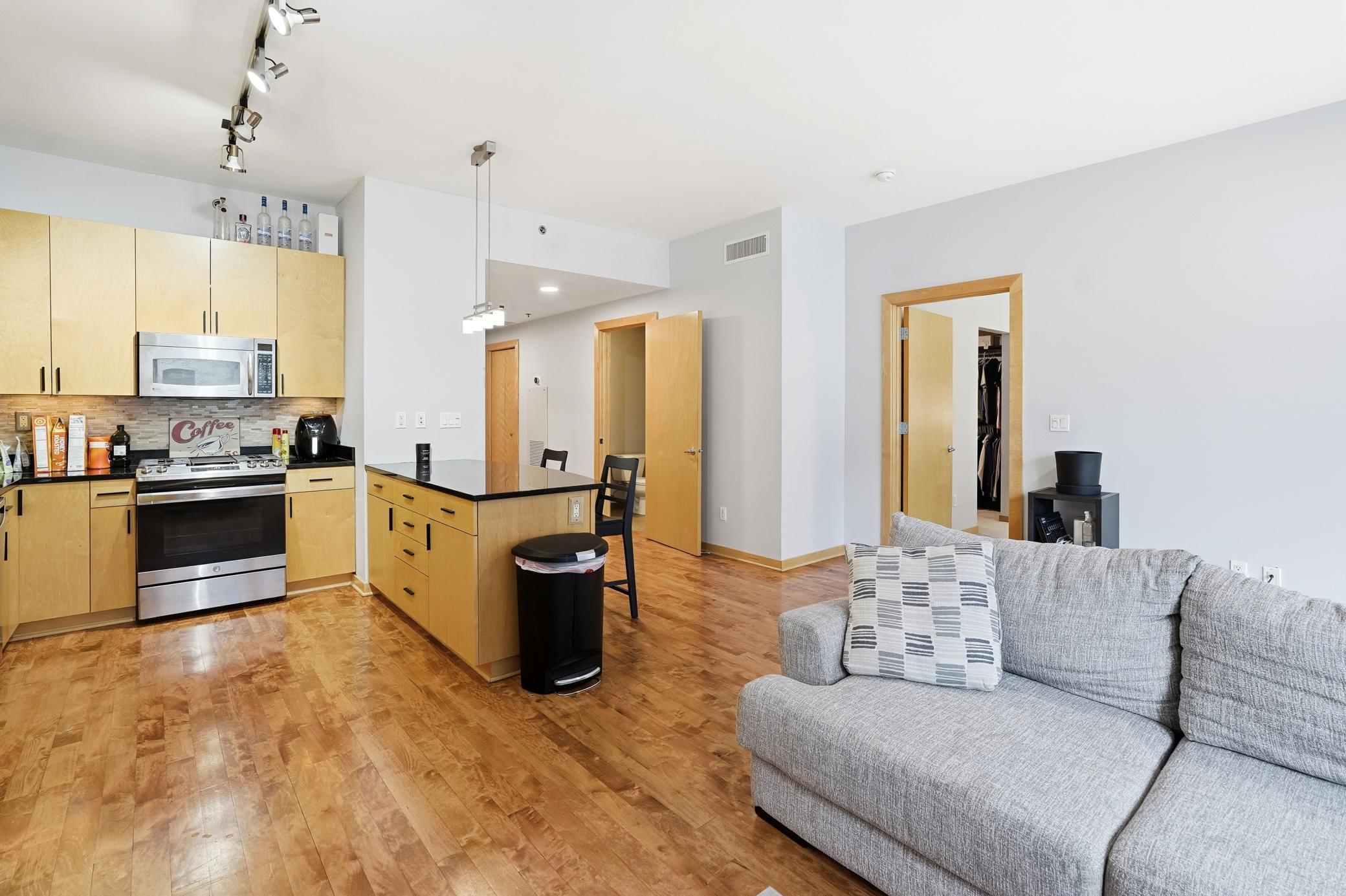 215 10th Avenue South, Unit 333 Minneapolis, MN 55415 - Photo 5 of 62