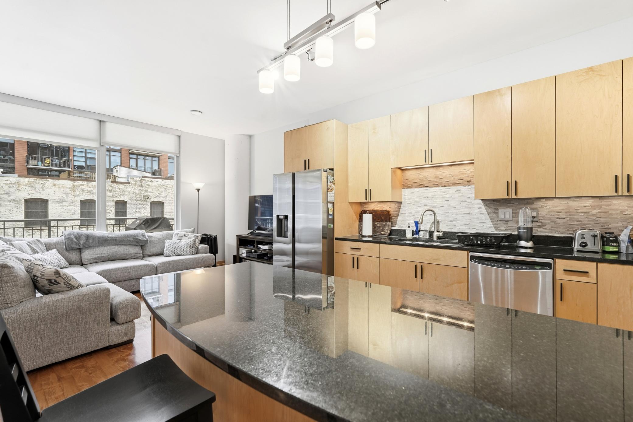 215 10th Avenue South, Unit 333 Minneapolis, MN 55415 - Photo 6 of 62