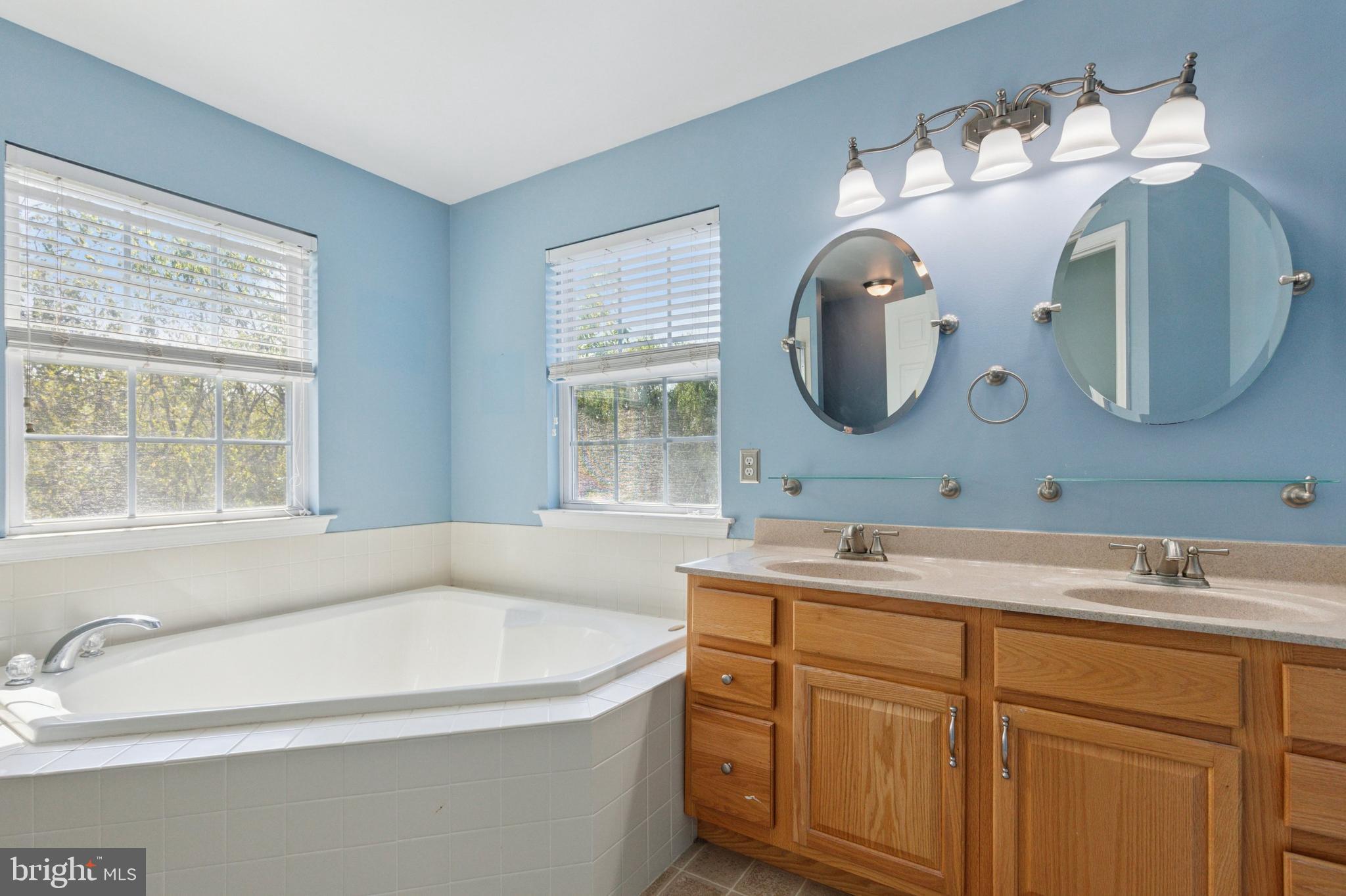 456 Windy Hill Road Gilbertsville, PA 19525 - Photo 25 of 46 a bathroom with a sink and a mirror