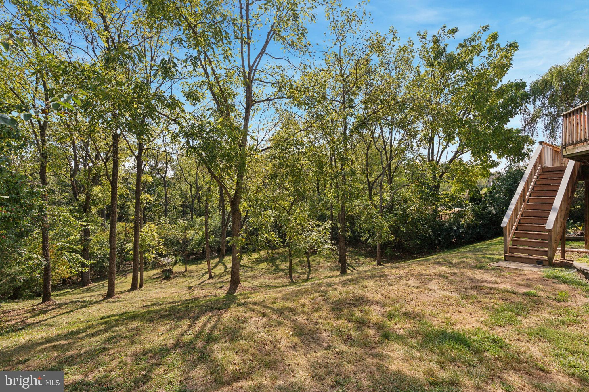 456 Windy Hill Road Gilbertsville, PA 19525 - Photo 40 of 46 a view of outdoor space with trees