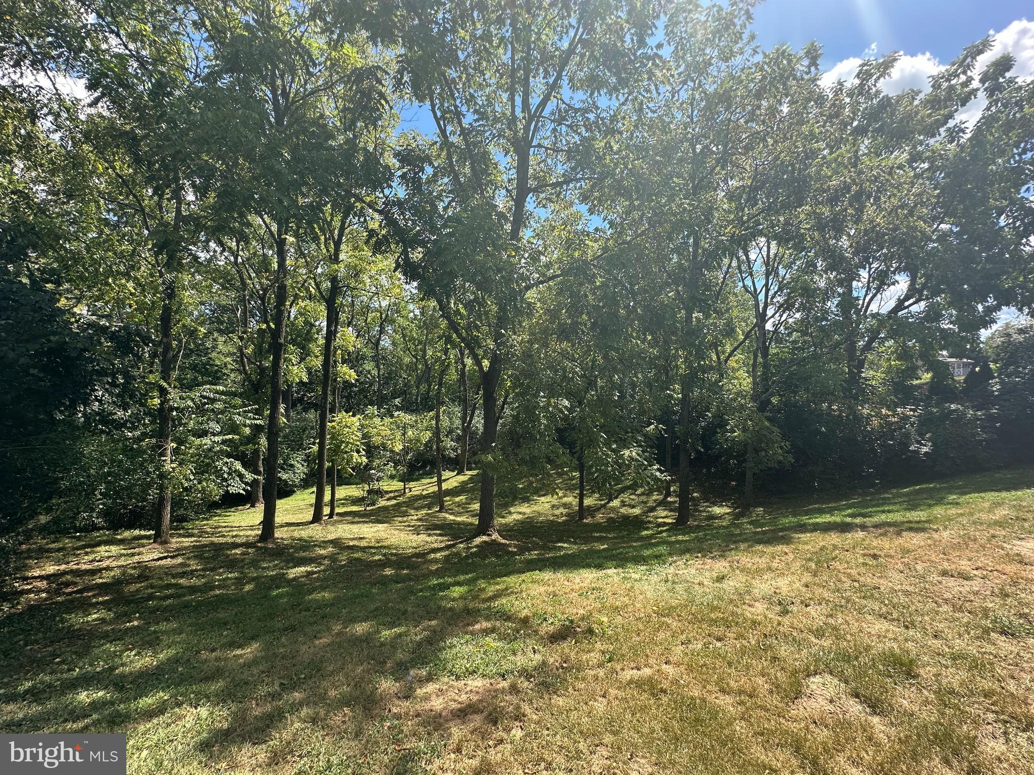 456 Windy Hill Road Gilbertsville, PA 19525 - Photo 41 of 46 a view of outdoor space with trees