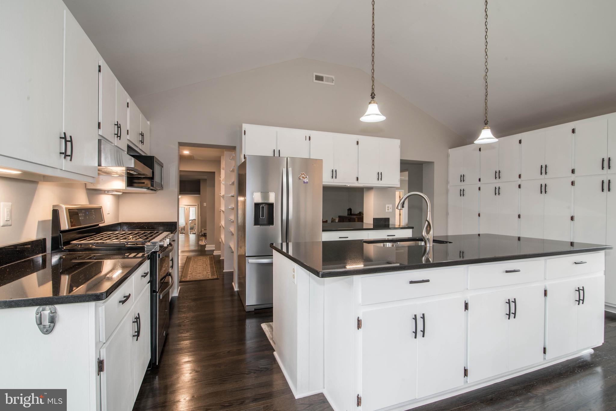 11110 Kingstead Road Damascus, MD 20872 - Photo 15 of 61 Gourmet Kitchen