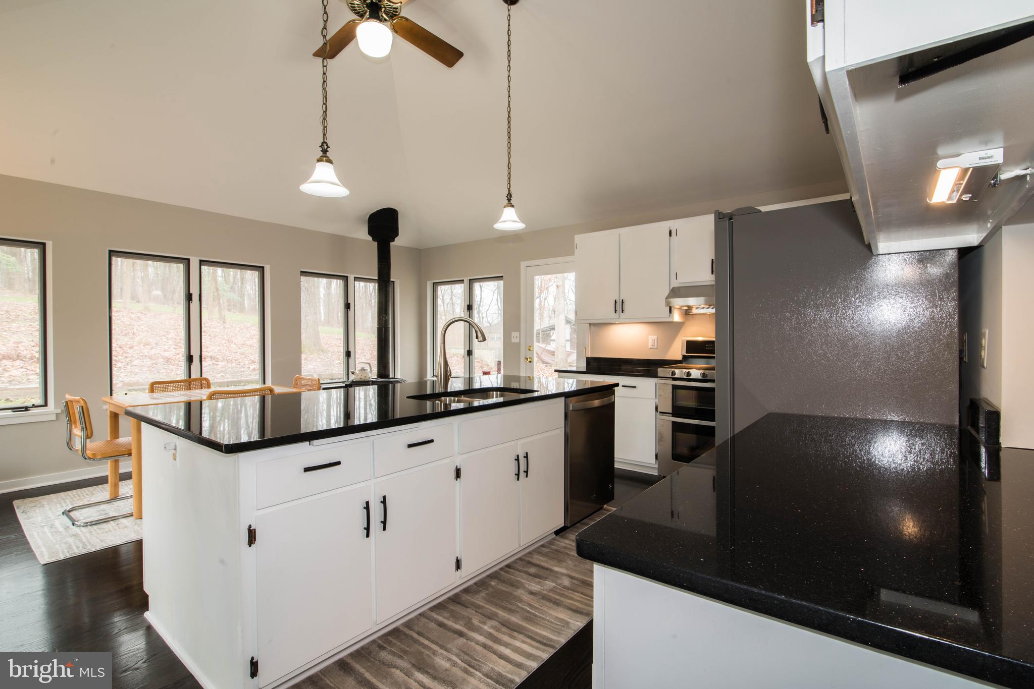 11110 Kingstead Road Damascus, MD 20872 - Photo 16 of 61 Gourmet Kitchen