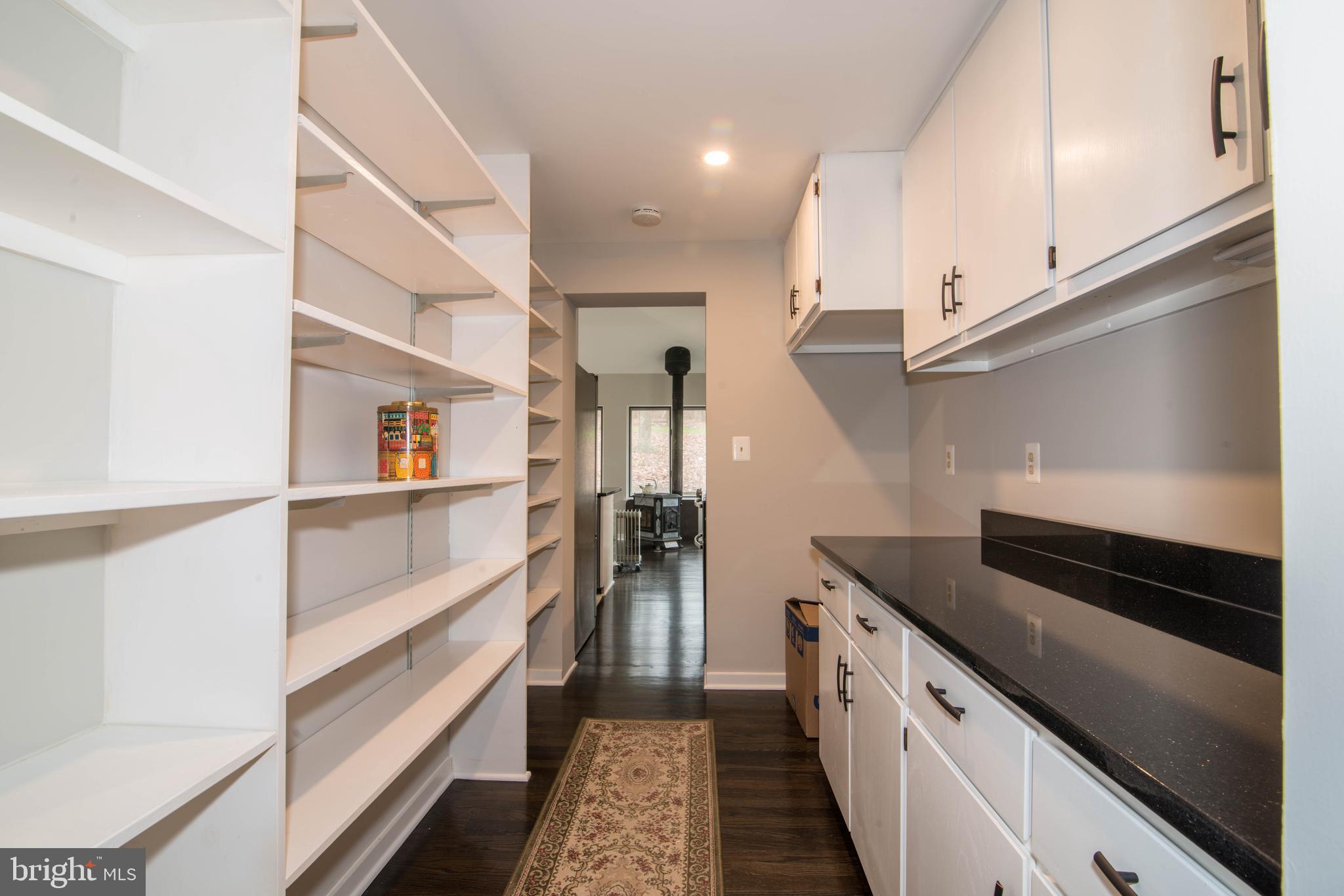11110 Kingstead Road Damascus, MD 20872 - Photo 25 of 61 Butler's Pantry