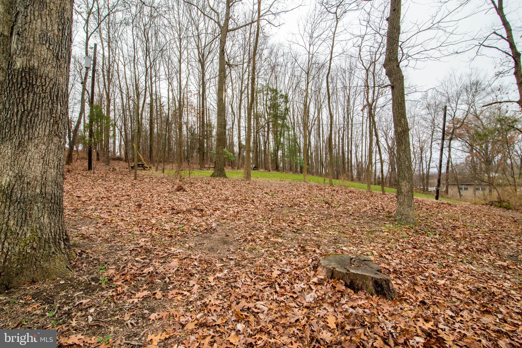 11110 Kingstead Road Damascus, MD 20872 - Photo 61 of 61 Yard