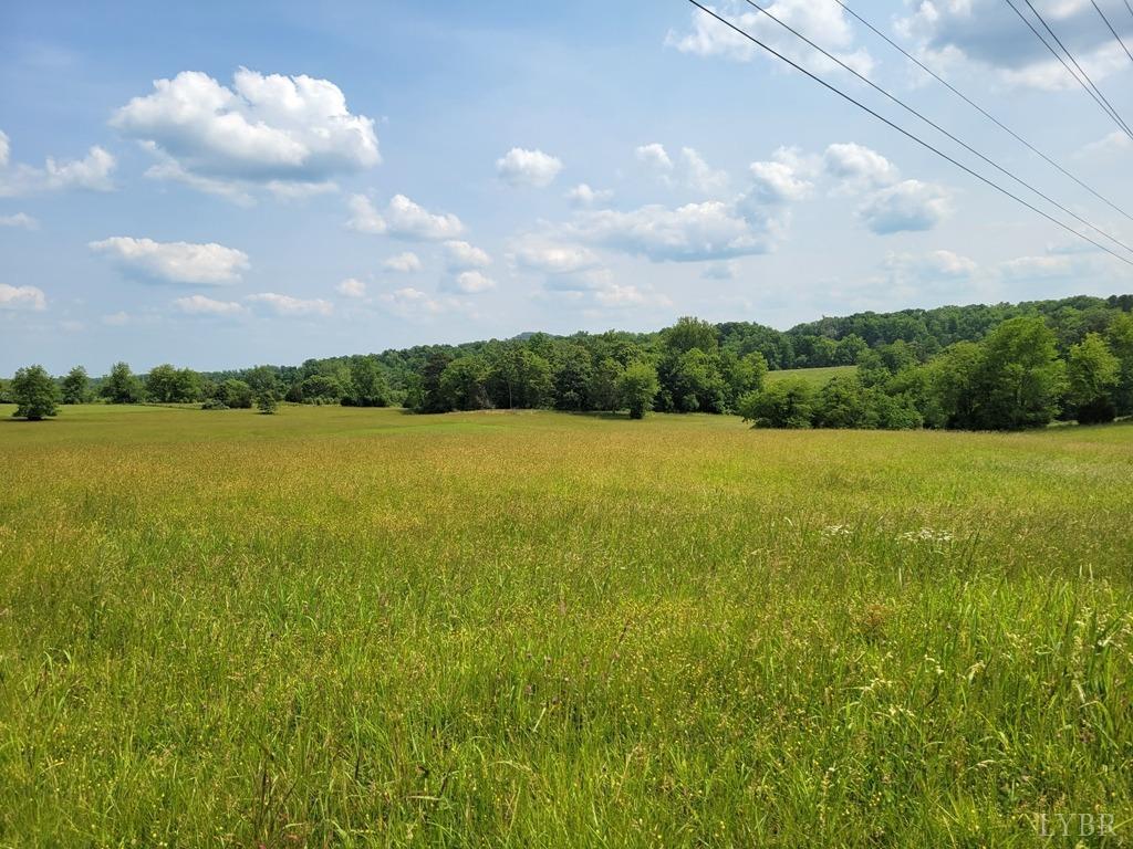 2 Lizard Ridge Road Bedford, VA 24523 - Photo 2 of 8 Gallery Image 2