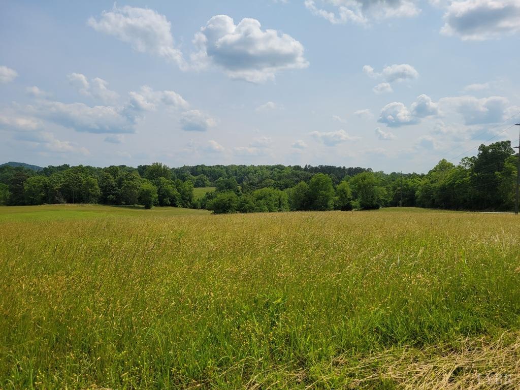 2 Lizard Ridge Road Bedford, VA 24523 - Photo 3 of 8 Gallery Image 3