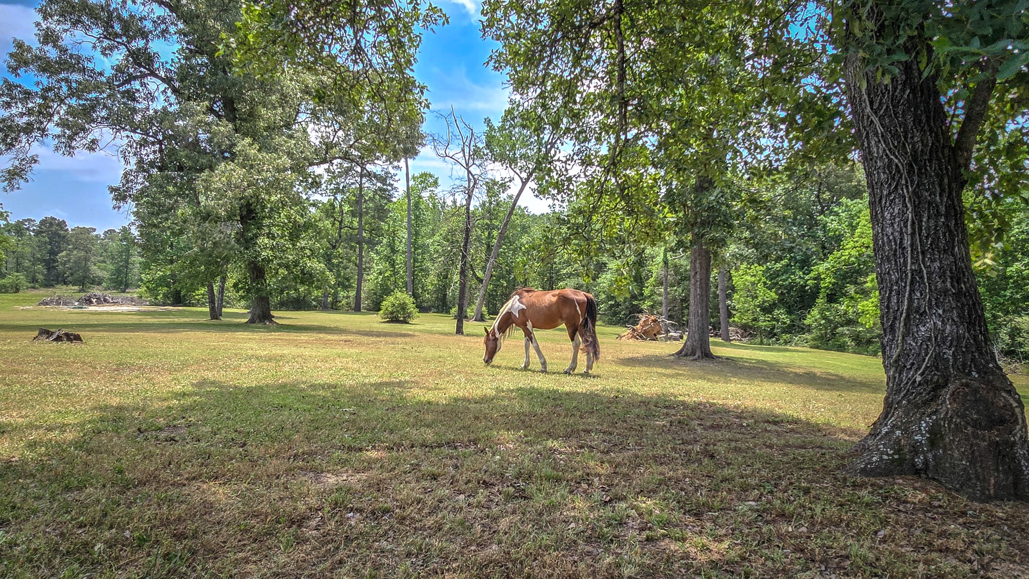 1 Hilo Lane Conroe, TX 77303 - Photo 30 of 49