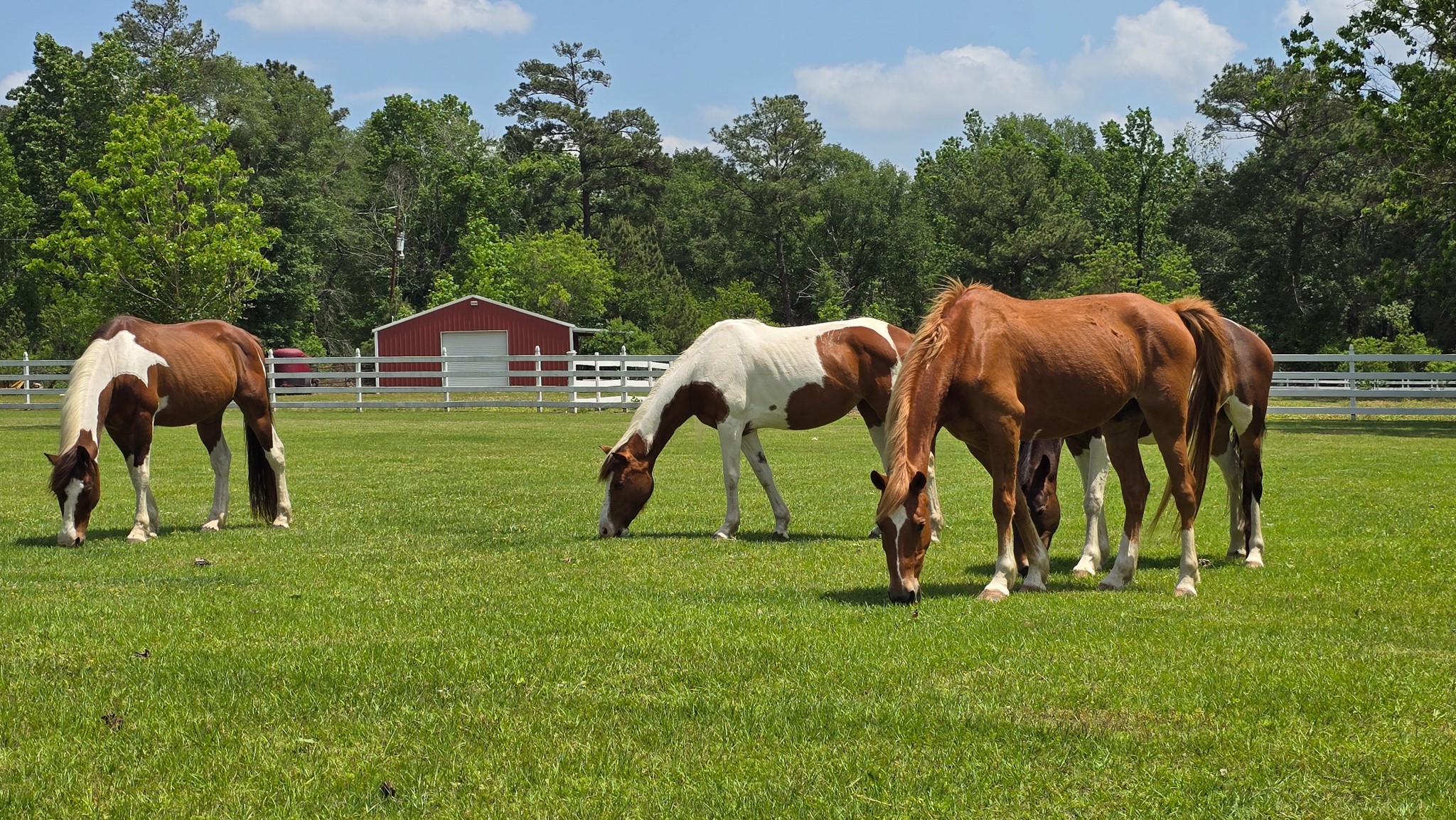 1 Hilo Lane Conroe, TX 77303 - Photo 41 of 49