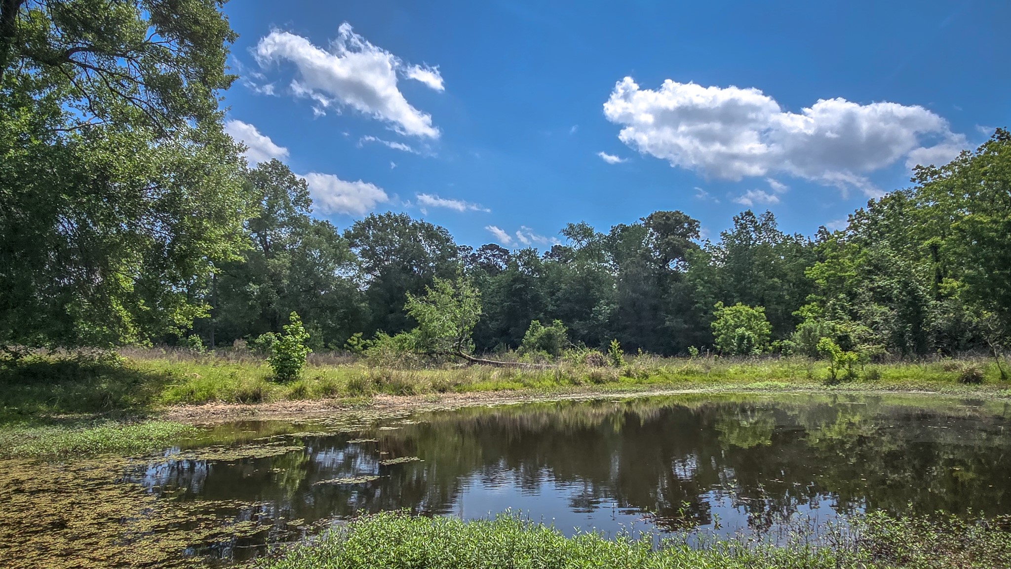 1 Hilo Lane Conroe, TX 77303 - Photo 46 of 49