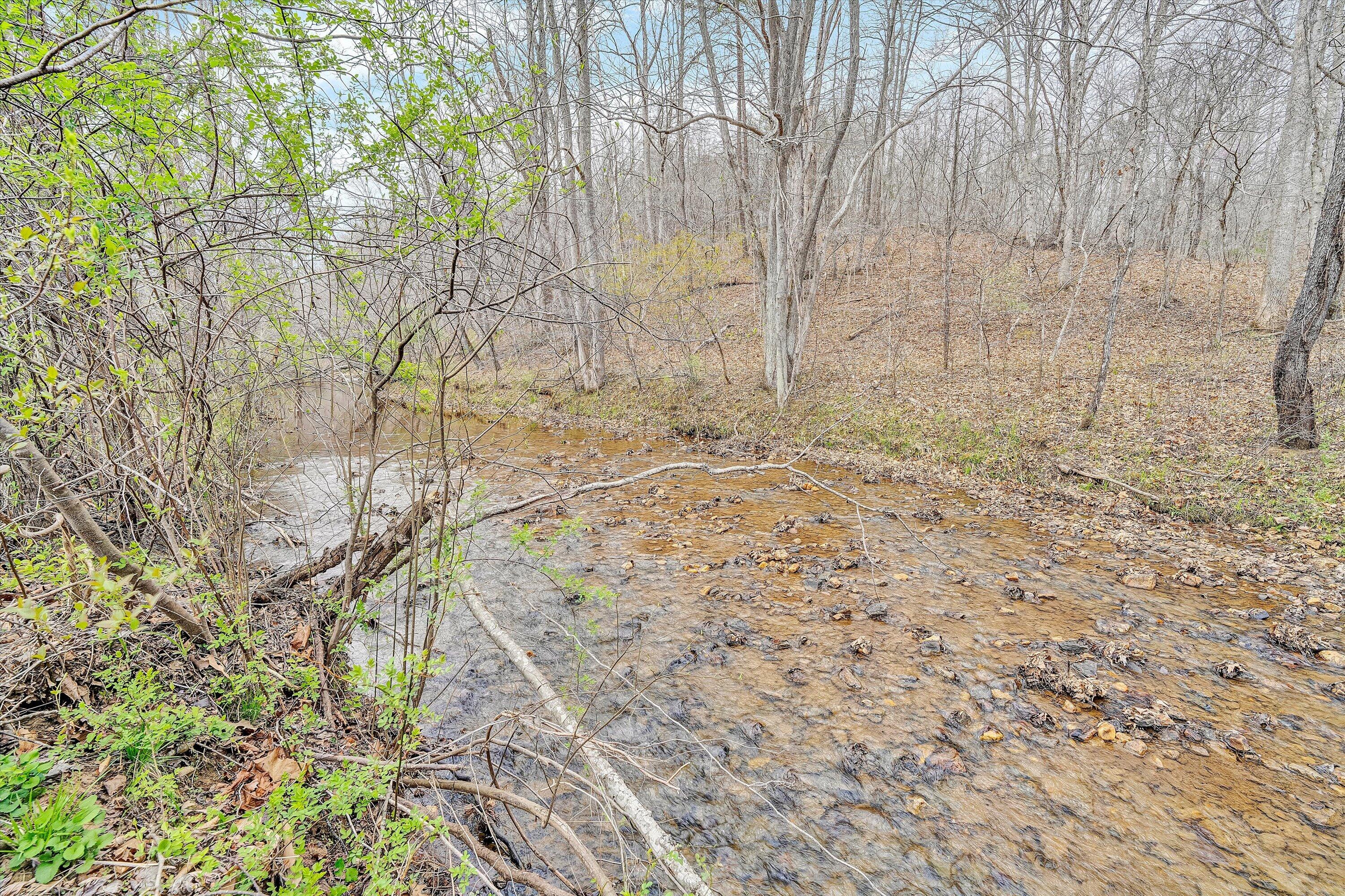 1232 Prillaman Switch Road Ferrum, VA 24088 - Photo 32 of 37 30-SGP-88