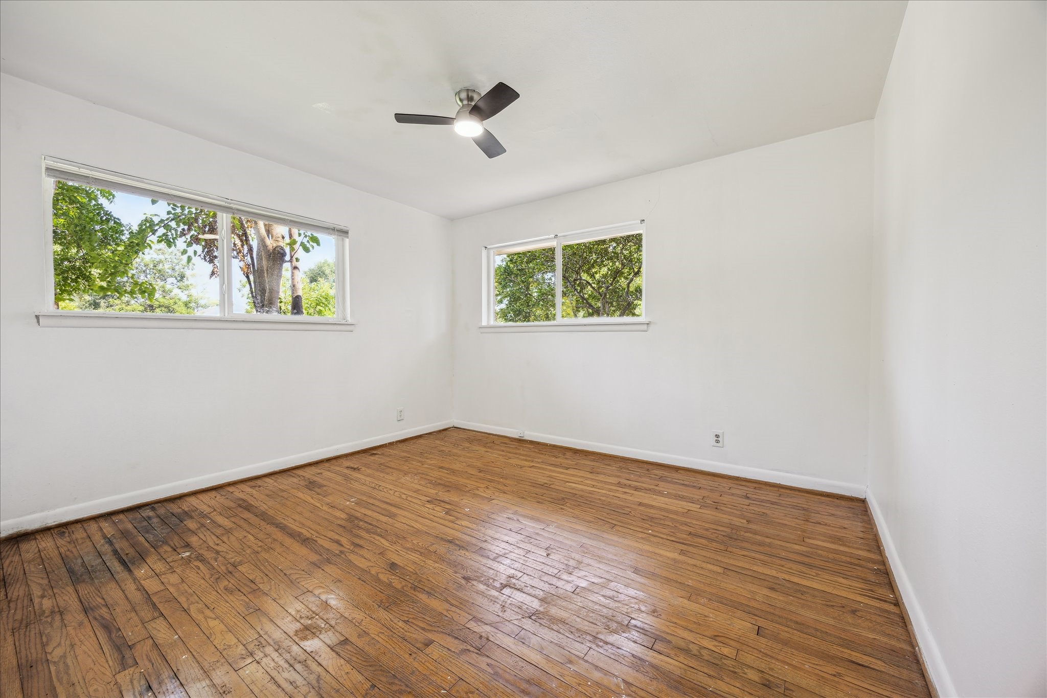 5419 Beechnut Street Houston, TX 77096 - Photo 13 of 28 Spacious front bedroom featuring wood flooring, a ceiling fan with light, and dual windows that fill the room with natural light and views of the trees outside.