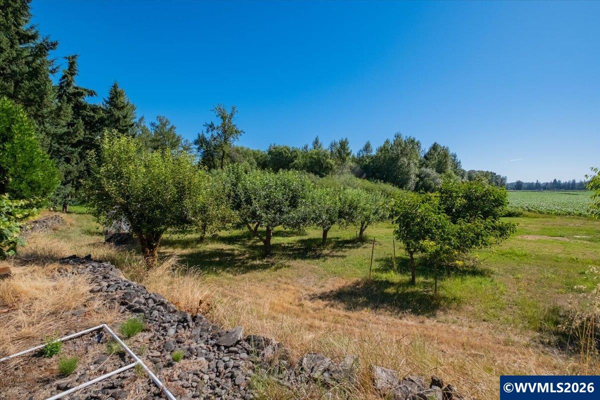39179 Santiam Bluffs Road Northeast Albany, OR 97322 - Photo 41 of 43