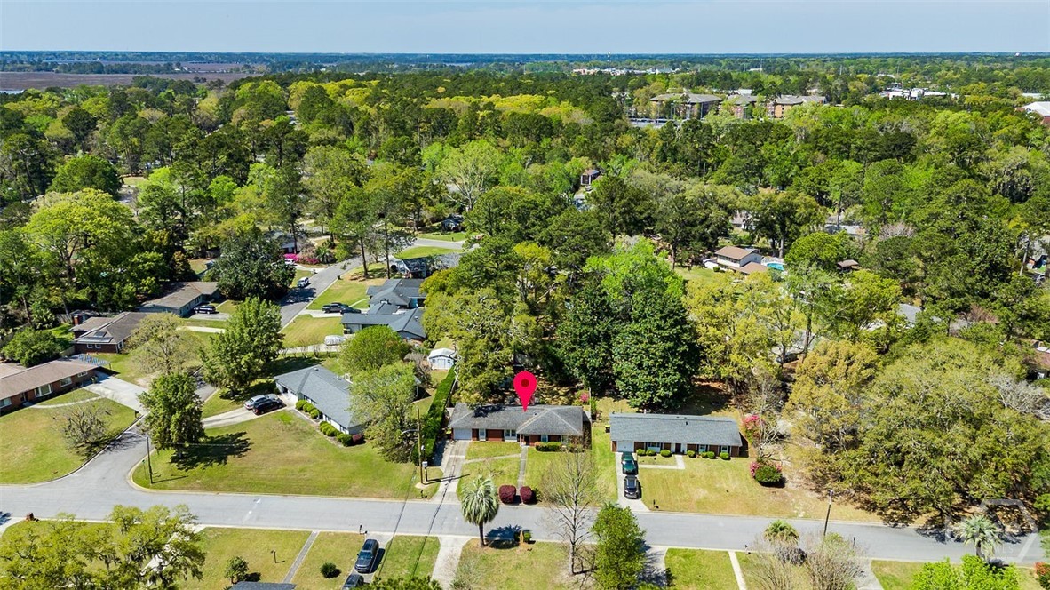 12606 Sunnybrook Road Savannah, GA 31419 - Photo 36 of 39 Arial picture of this quaint neighborhood