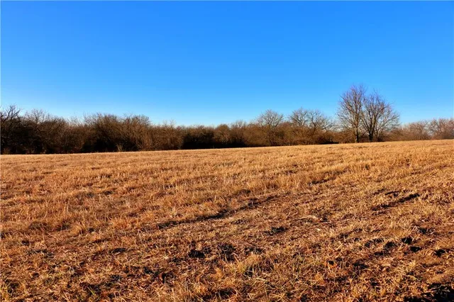 $95,000 | Southwest 1200th Rd Road, Blairstown, MO 64726