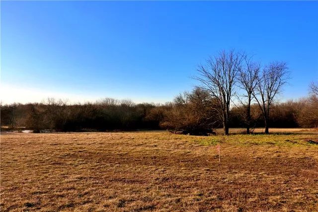 $95,000 | Southwest 1200th Rd Road, Blairstown, MO 64726