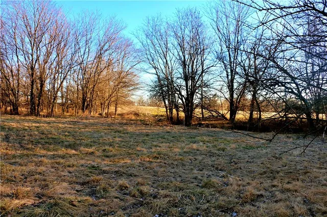 $95,000 | Southwest 1200th Rd Road, Blairstown, MO 64726